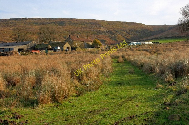 Photo 6"x4" Waites House Farm Westerdale\/NZ6605 c2008
