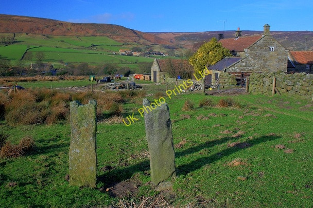 Photo 6"x4" Stone Posts, Waites House Farm Westerdale\/NZ6605 c2008