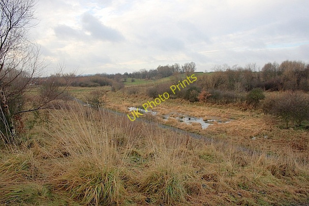 Photo 6"x4" Temple Memorial Park Jarrow c2011