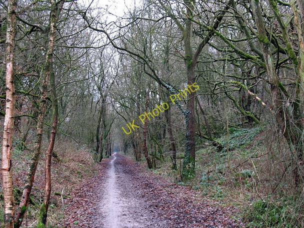 Photo 6"x4" Cutting on the Biddulph Valley Way Whitemore c2010