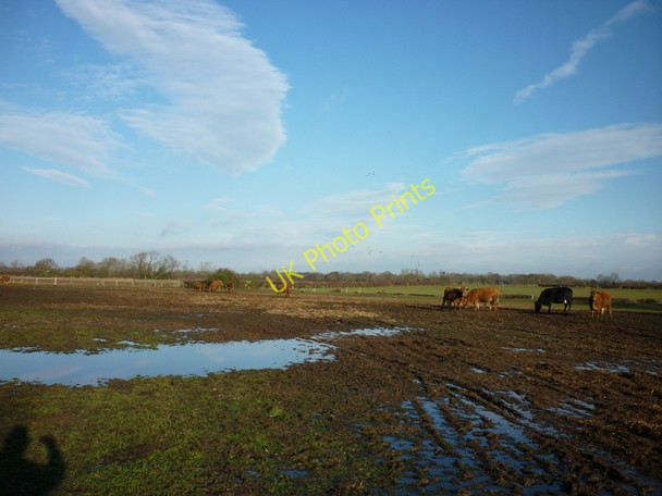 Photo 6"x4" Mud, mud glorious mud Murton\/SE6552 c2011