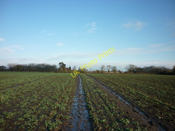 Photo 6"x4" Walking towards Holtby Lane on the outskirts of York Stockton on the Forest c2011
