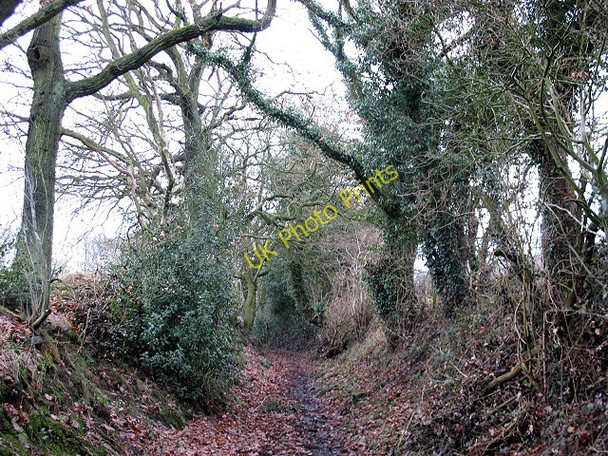 Photo 6"x4" Holloway above Sycamore Farm Biddulph c2010