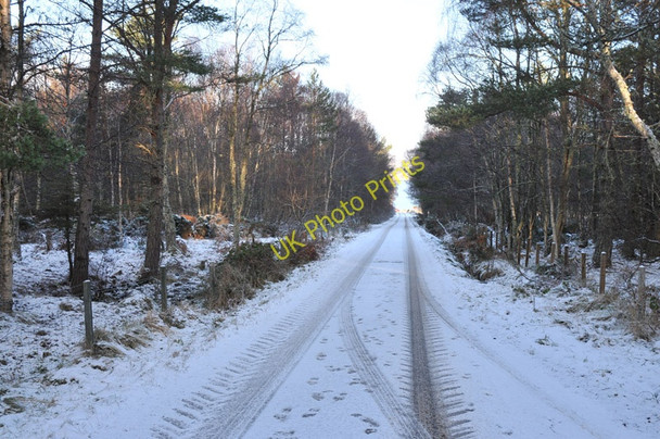 Photo 6"x4" Minor road at Englishton Muir Bunchrew c2011
