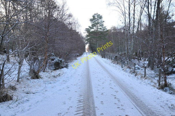 Photo 6"x4" Minor road at Englishton Muir Bunchrew c2011 P1