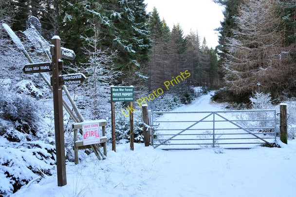 Photo 6"x4" Signposted walks into the woodland at Mam Mor Newtonhill\/NH5743 c2011
