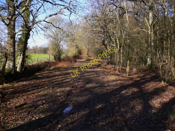 Photo 6"x4" Hook Street looking north Alfold Bars c2011