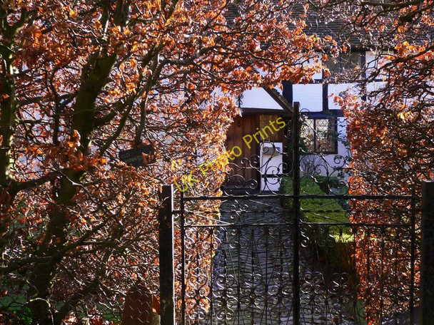 Photo 6"x4" Entrance at Old Knightons Upper Ifold c2011
