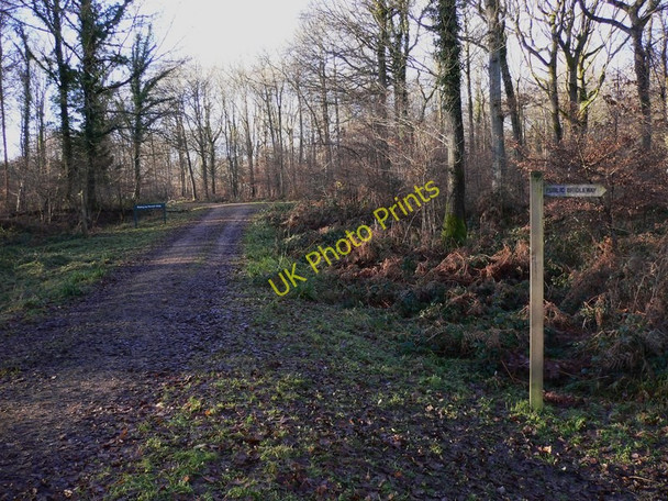Photo 6"x4" Public bridleway crosses track in Tidy's Copse Upper Ifold c2011