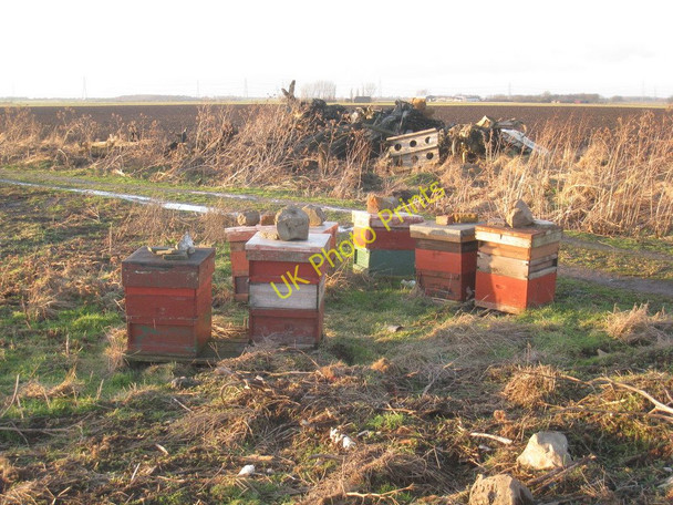 Photo 6"x4" No activity at this time of year East Butterwick c2011