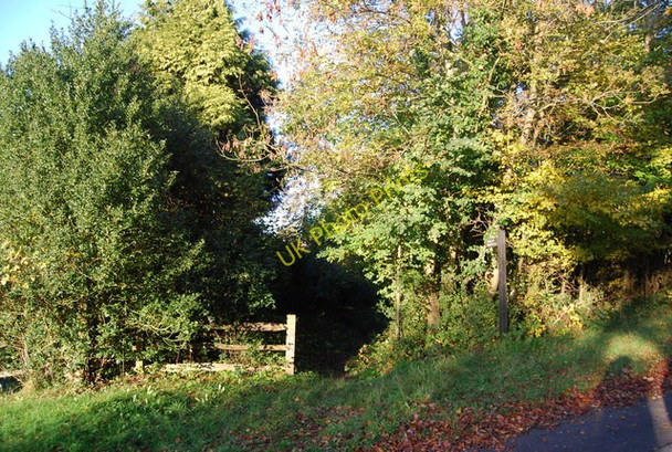 Photo 6"x4" Footpath off the B2110 Coleman's Hatch c2010