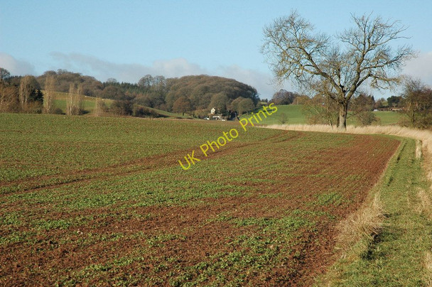 Photo 6"x4" Arable land near Brinsop Tillinton Common c2011