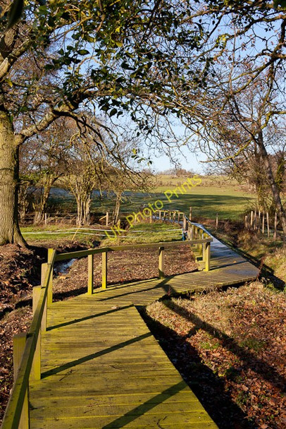 Photo 6"x4" Duckboarded footpath at Moorgreen Farm Moorgreen\/SU4715 c2011