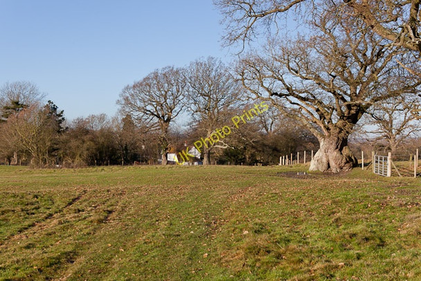 Photo 6"x4" Footpath approaching Andiron Court Moorgreen\/SU4715 c2011
