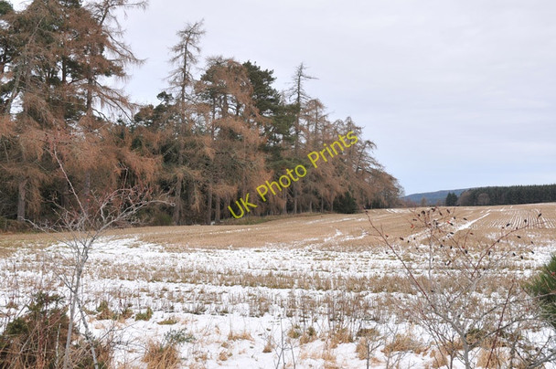 Photo 6"x4" Farmland near Achneim Cawdor c2011