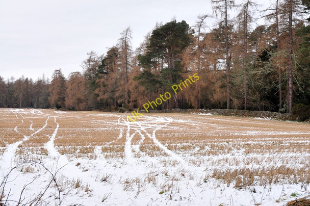 Photo 6"x4" Farmland near Achneim Cawdor c2011 P1