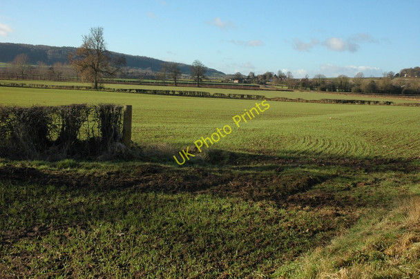 Photo 6"x4" Arable land near Mansel Lacy Mansell Lacy c2011