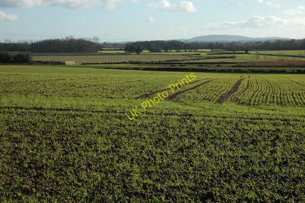 Photo 6"x4" Arable land near Mansel Lacy Bishon Common c2011