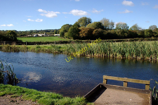 Photo 6"x4" The View to Westcott Farm Ayshford c2010
