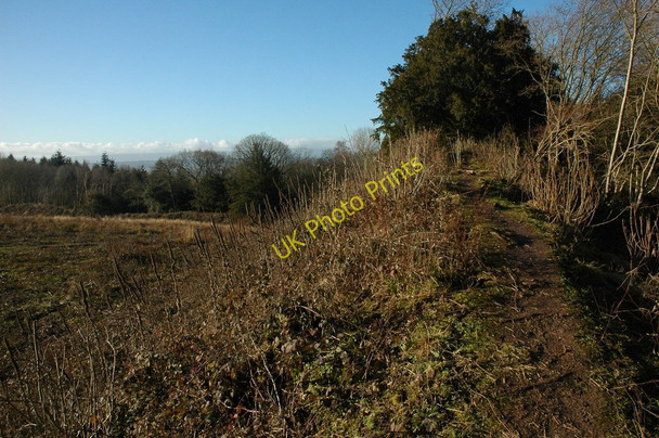 Photo 6"x4" Defensive earthworks, Credenhill Brinsop c2011