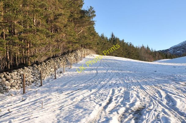 Photo 6"x4" Farmland near Mains of Flichity East Croachy c2011