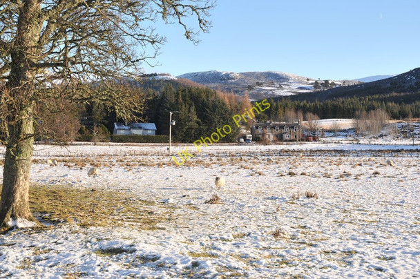 Photo 6"x4" Mains of Flichity East Croachy c2011