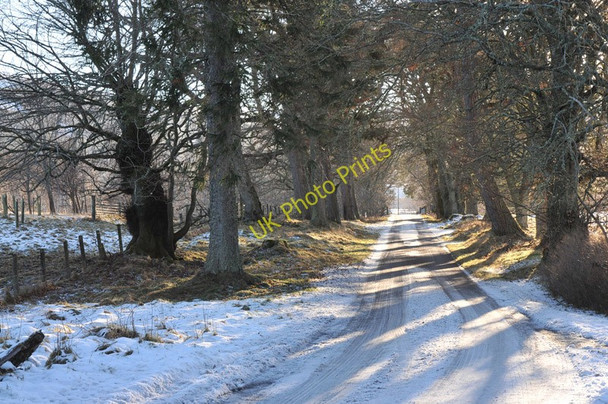 Photo 6"x4" Minor road past Brin House East Croachy c2011