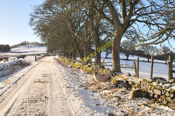 Photo 6"x4" Minor road near Balnabeeran Torness\/NH5827 c2011