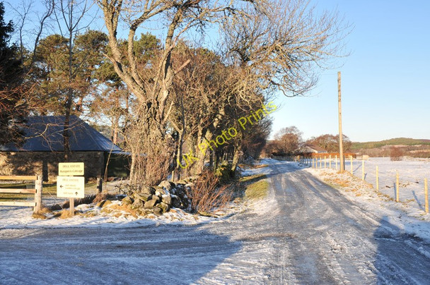Photo 6"x4" Road to Dell Farm Whitebridge\/NH4815 c2011