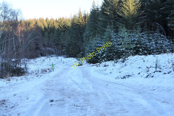 Photo 6"x4" Forestry road in Glen Liath Easter Boleskine c2011