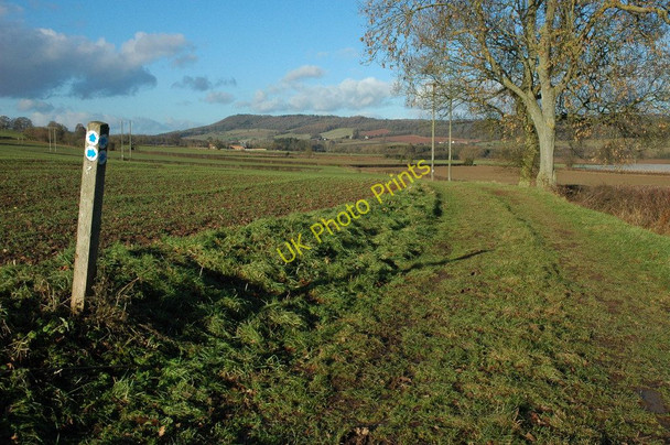 Photo 6"x4" Bridleway near Brinsop Bishopstone\/SO4143 c2011
