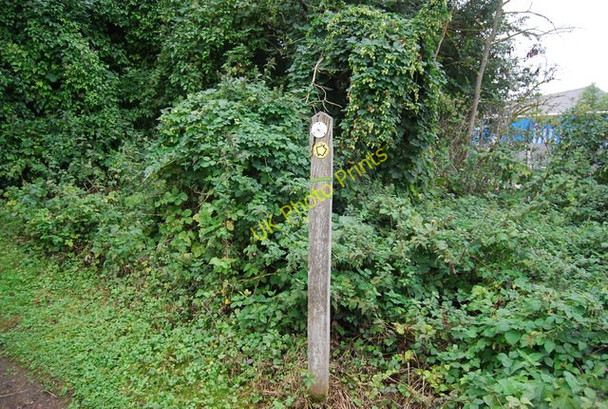 Photo 6"x4" Waymark, Medway Valley Walk Forstal c2010