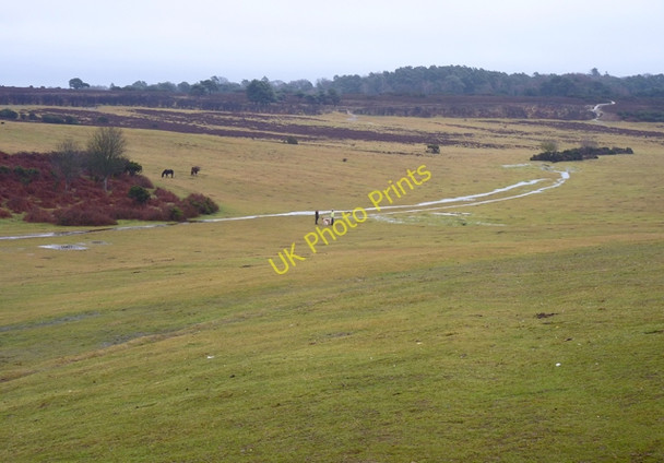 Photo 6"x4" Long Slade Bottom Mead End\/SZ2698 c2011