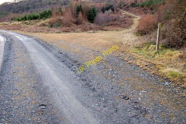 Photo 6"x4" Forest road junction on Satterthwaite Moor Force Forge c2011