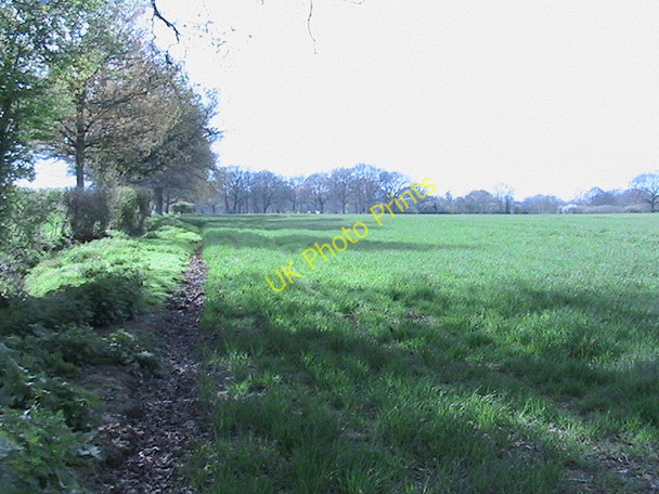 Photo 6"x4" Fields east of Okewood church Okewood Hill c2006