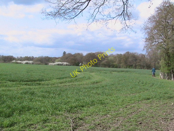Photo 6"x4" Fields east of Okewood church Okewood Hill c2006 P1
