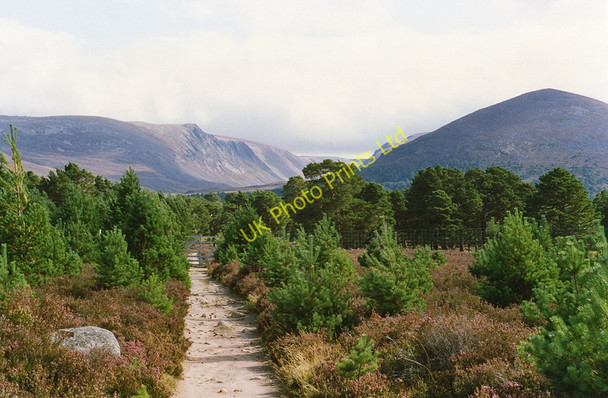 Photo 6"x4" The Lairig Ghru path near Tullochgrue Coylumbridge c1992
