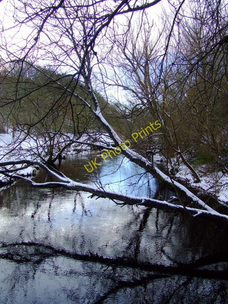 Photo 6"x4" Water of Leith Craigleith\/NT2374 c2011