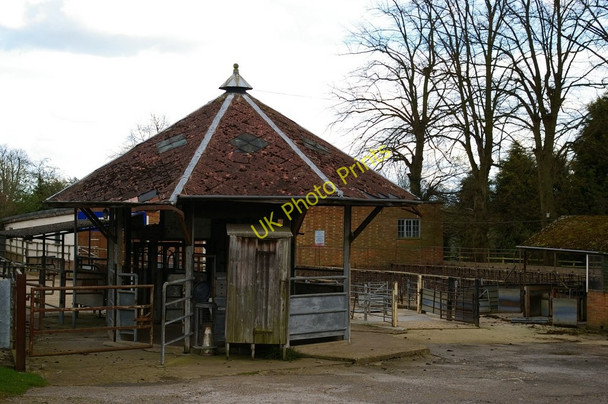 Photo 6"x4" Winslow: cattle market Tinkers End c2008