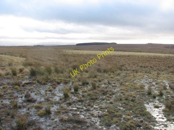 Photo 6"x4" Wet ground near Climpy Wilsontown c2011