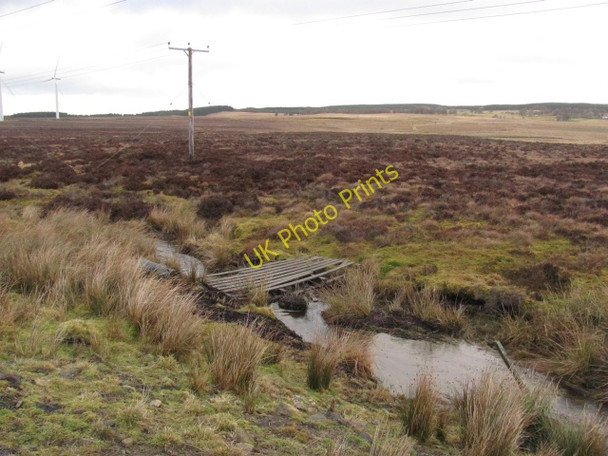 Photo 6"x4" Burn, Whaup Knowe Forth\/NS9453 c2011