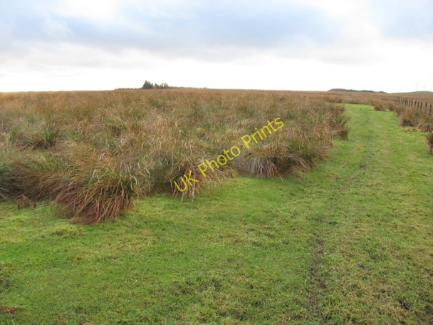 Photo 6"x4" Rough grazing, Whaup Knowe Forth\/NS9453 c2011