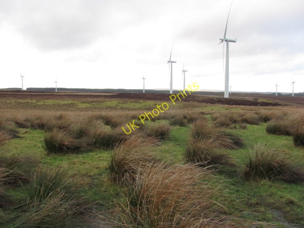 Photo 6"x4" Whaup Knowe Forth\/NS9453 c2011