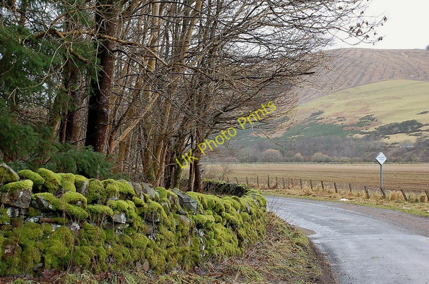 Photo 6"x4" Moss-covered wall, Plora Wood Innerleithen c2011