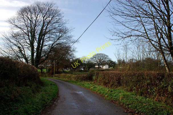 Photo 6"x4" A Winter Scene Near Eworthy Eworthy c2010