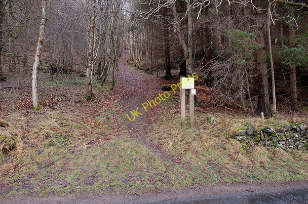 Photo 6"x4" Plora Wood path joins the road Innerleithen c2011