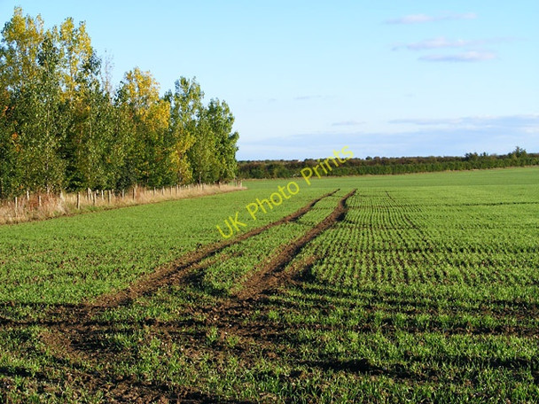 Photo 6"x4" Farmland, Chilton Chilton\/SU4885 c2010