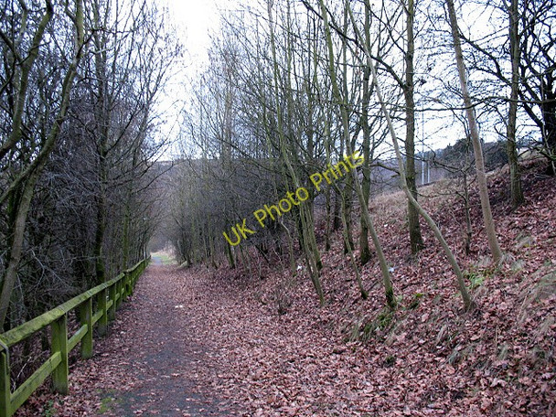 Photo 6"x4" Footpath alongside the A629 Elland c2011