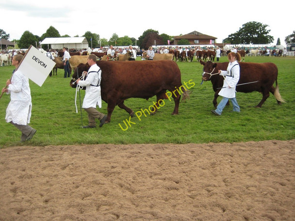 Photo 6"x4" Royal Agricultural Show Stareton c2009