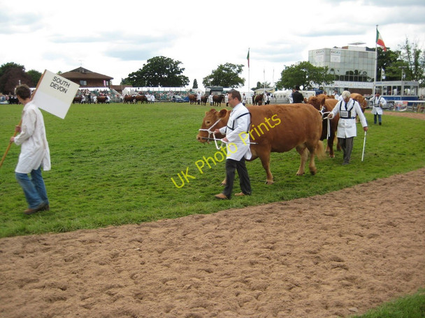 Photo 6"x4" The Royal Agricultural Show Stareton c2009 P2